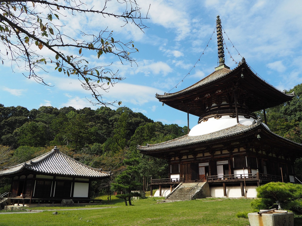 根来寺根来寺 - 山紫水明の日本