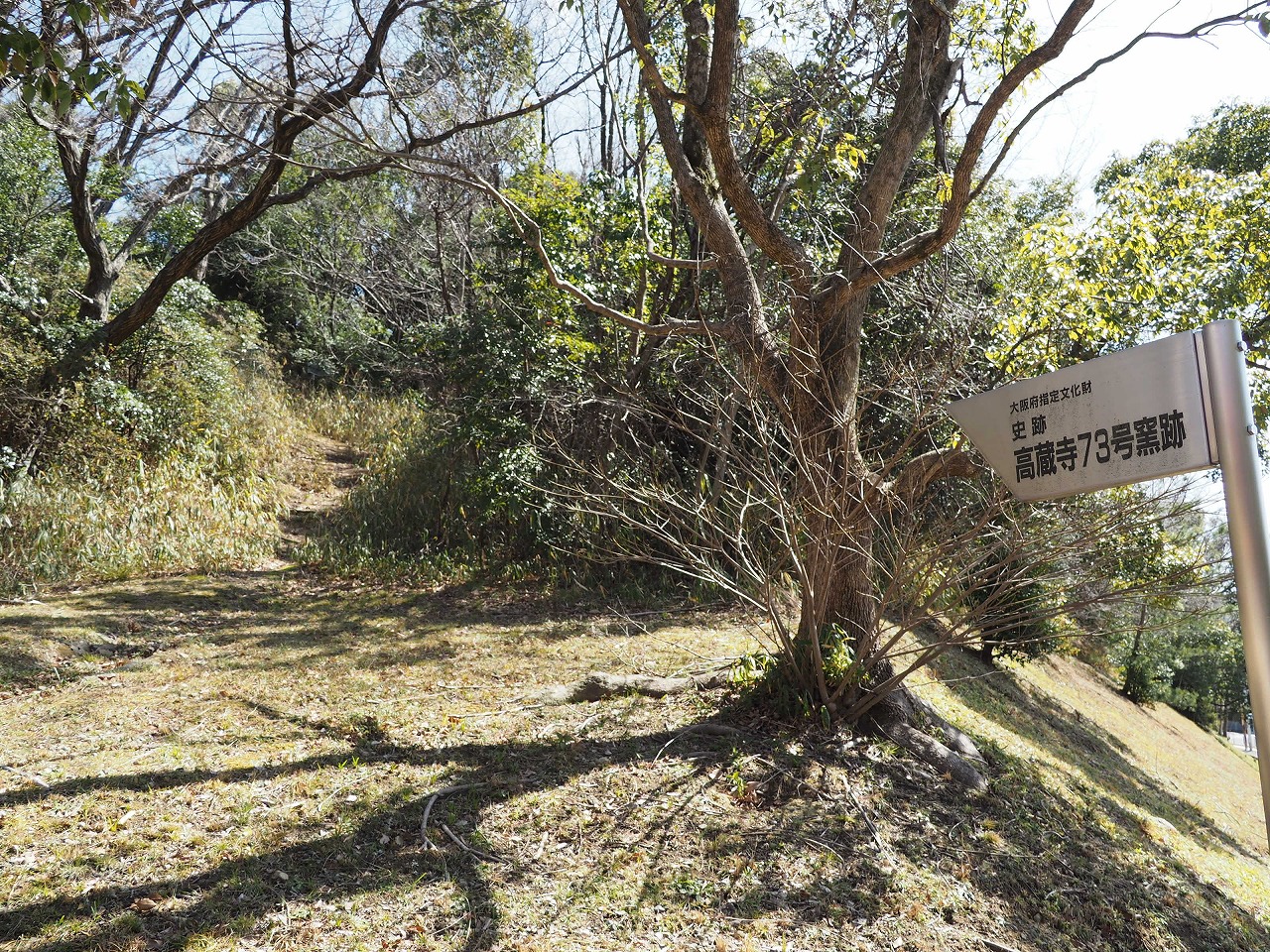 P3030165-1.jpg